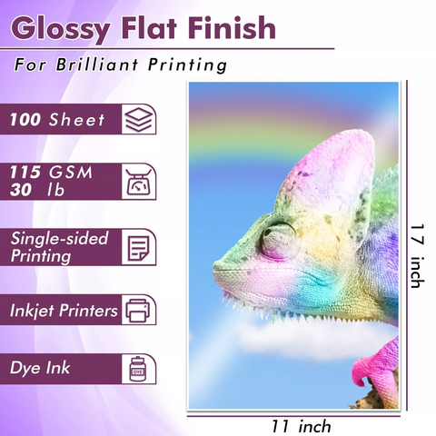 Koala Thin Inkjet Glossy Printer Paper 115gsm 30lb 100 Sheets 11x17 inches