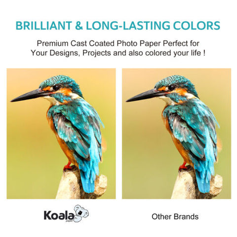 Koala 270gsm RC Advanced Glossy Photo Paper 72lb